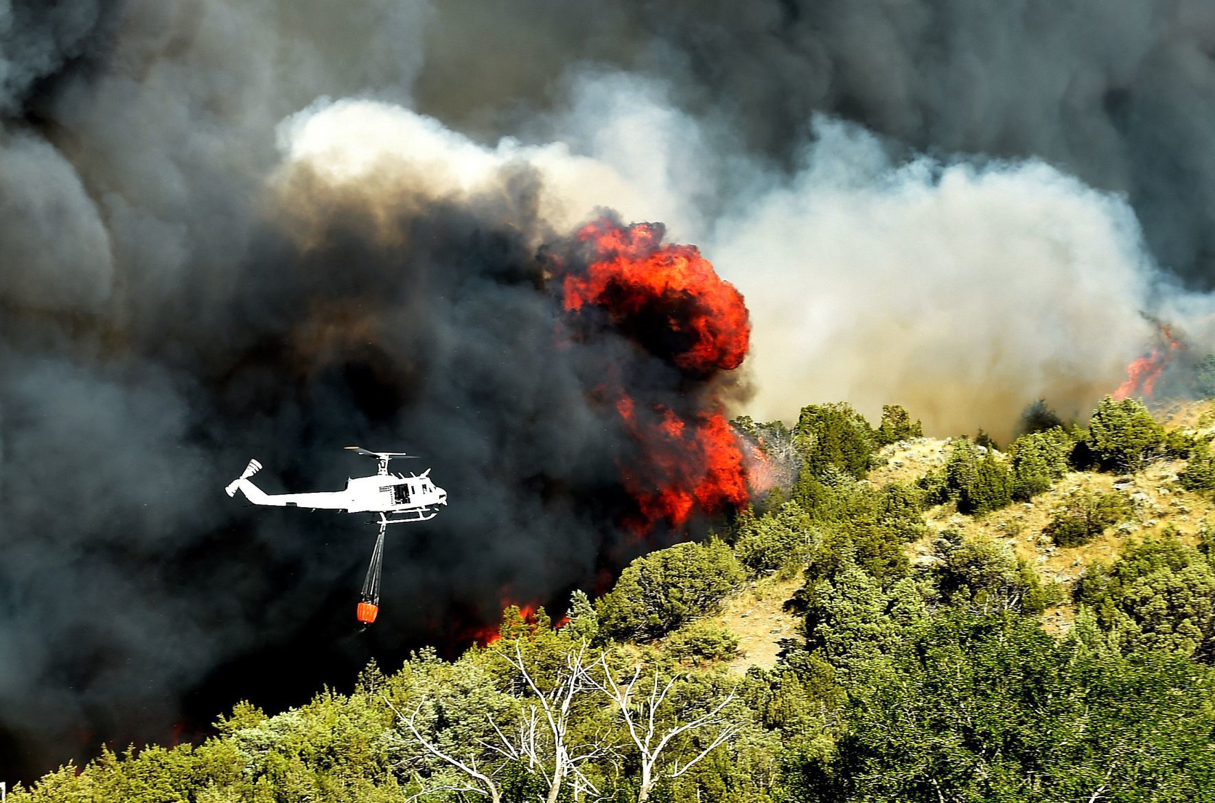 Fritz Fire
